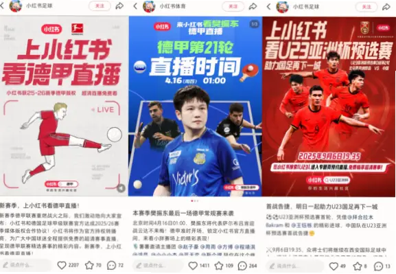 小红书世界杯笔记为何受欢迎？